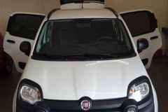 ramen tinten fiat panda